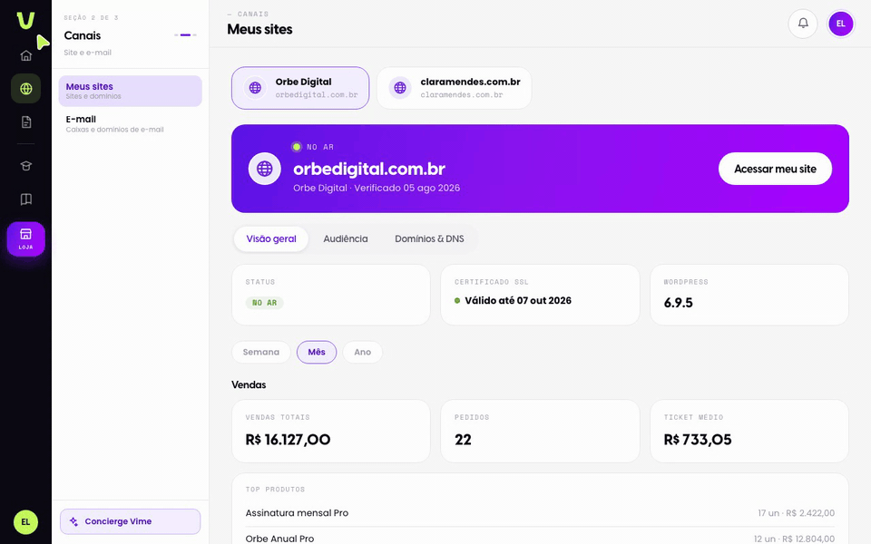 Abra a aba Domínios & DNS